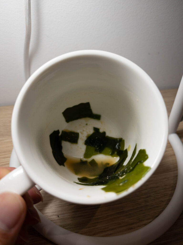 シドニー出張