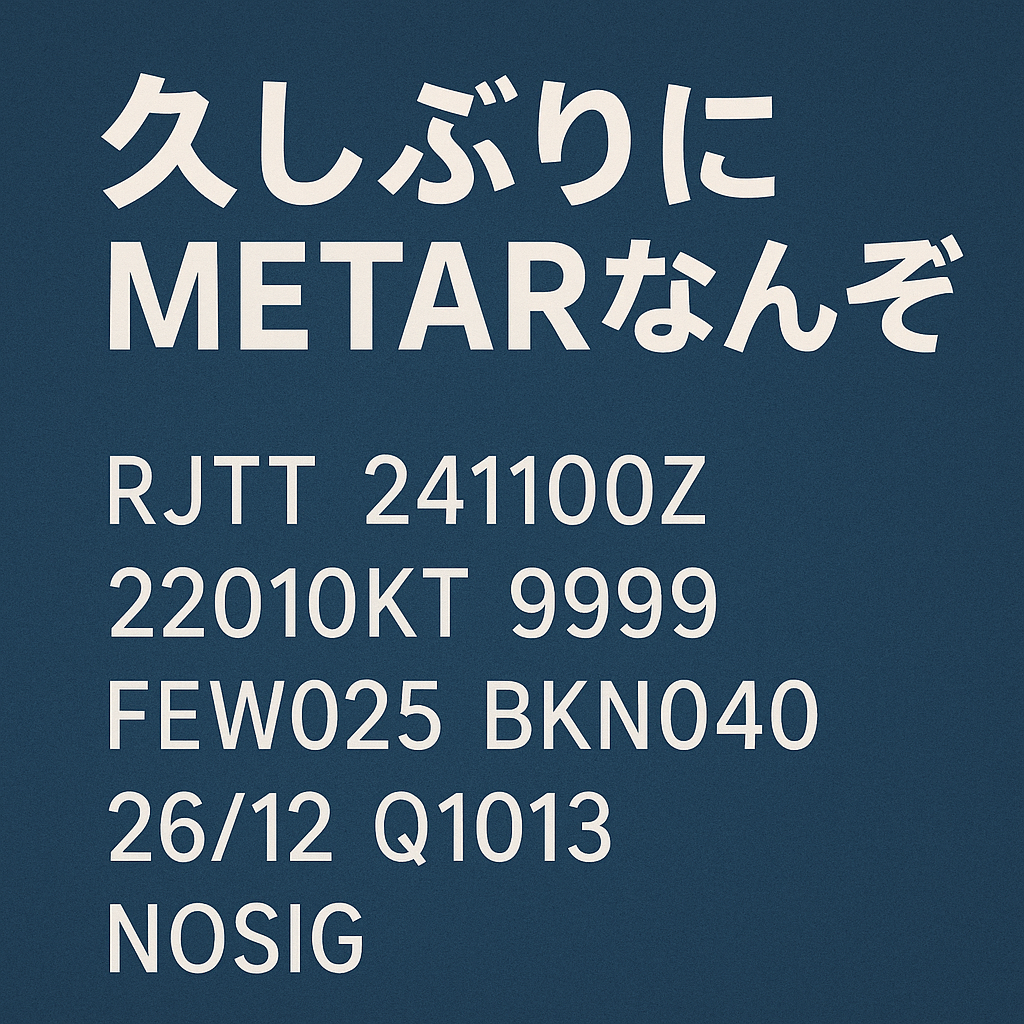 久しぶりにMETARなんぞ