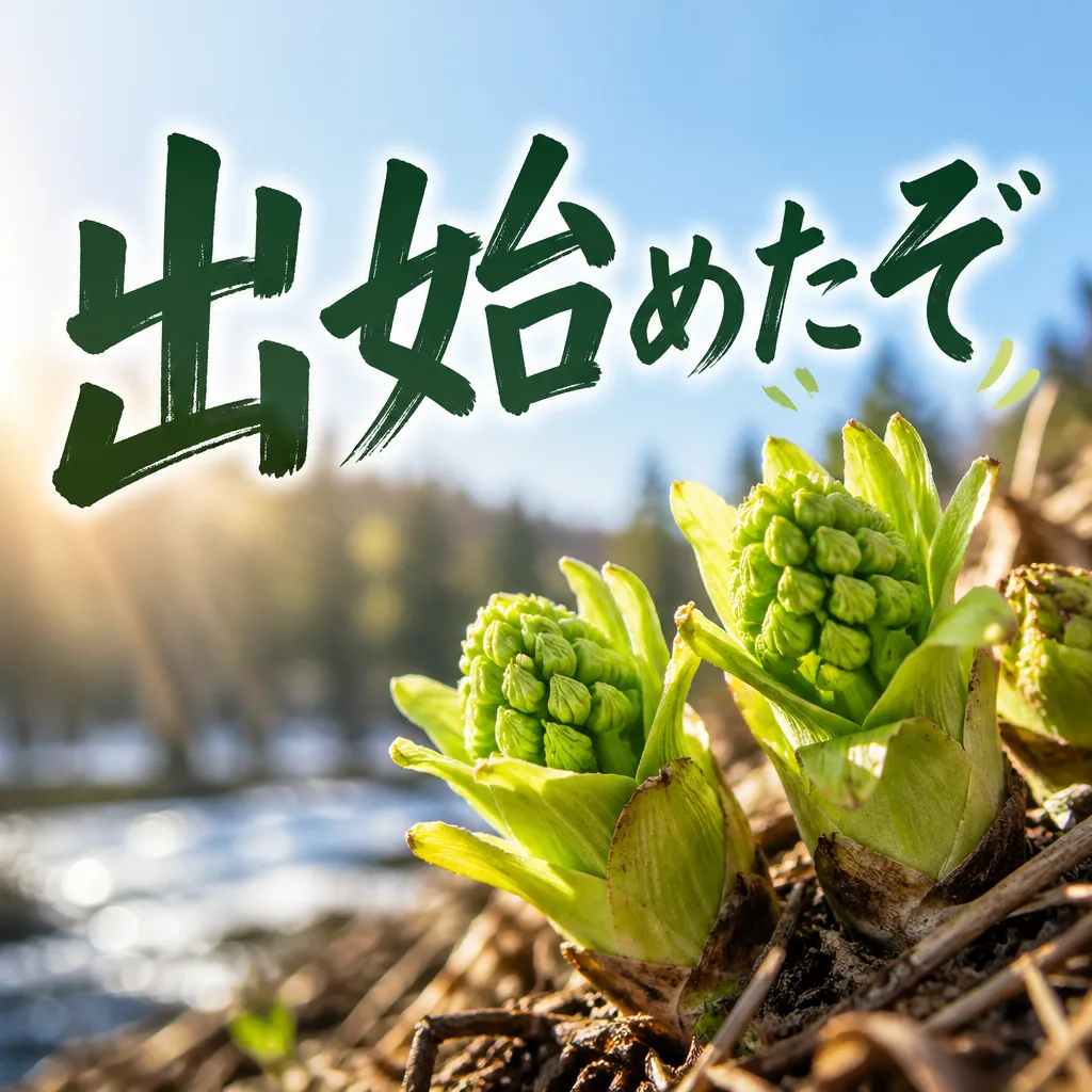 出始めたぞ