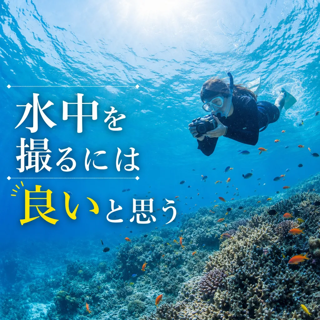 水中を撮るには良いと思う