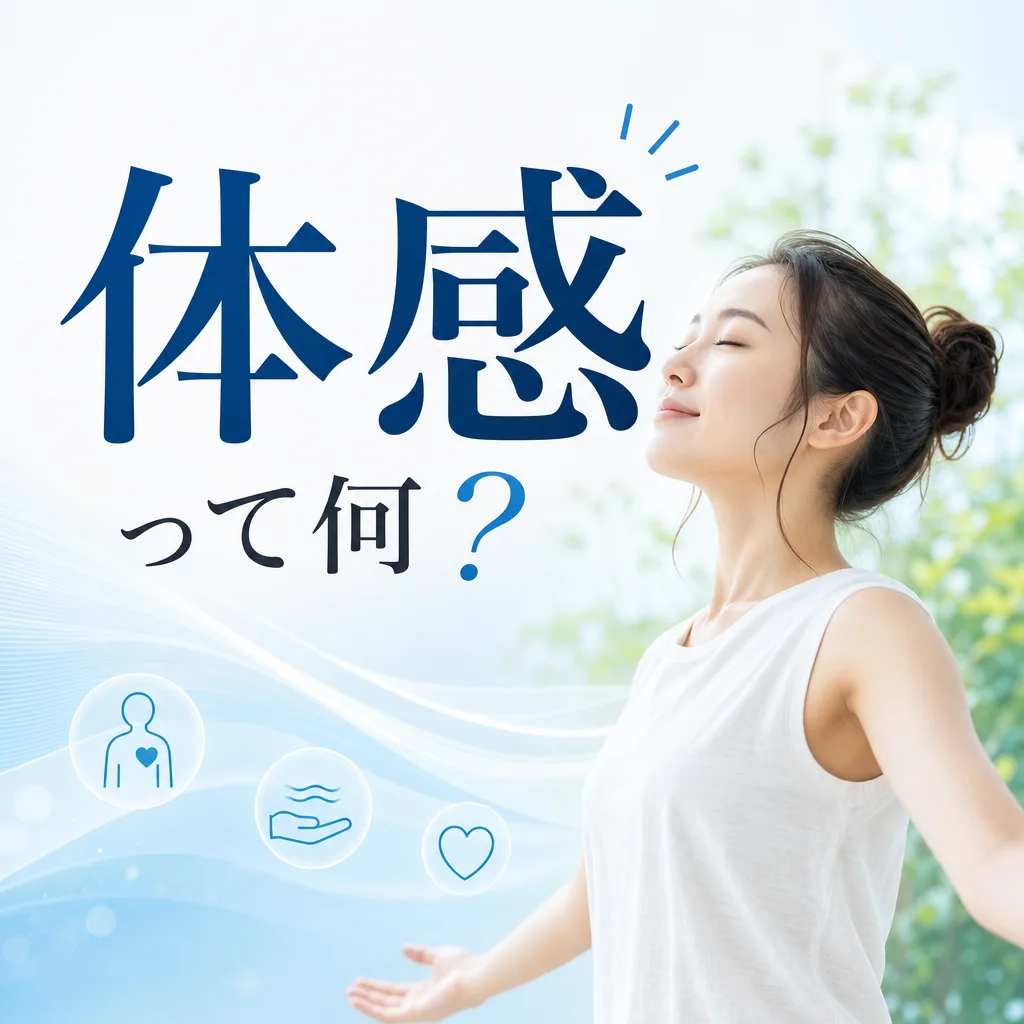 体感って何？
