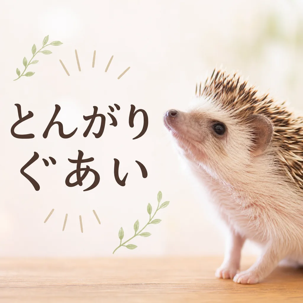 とんがりぐあい