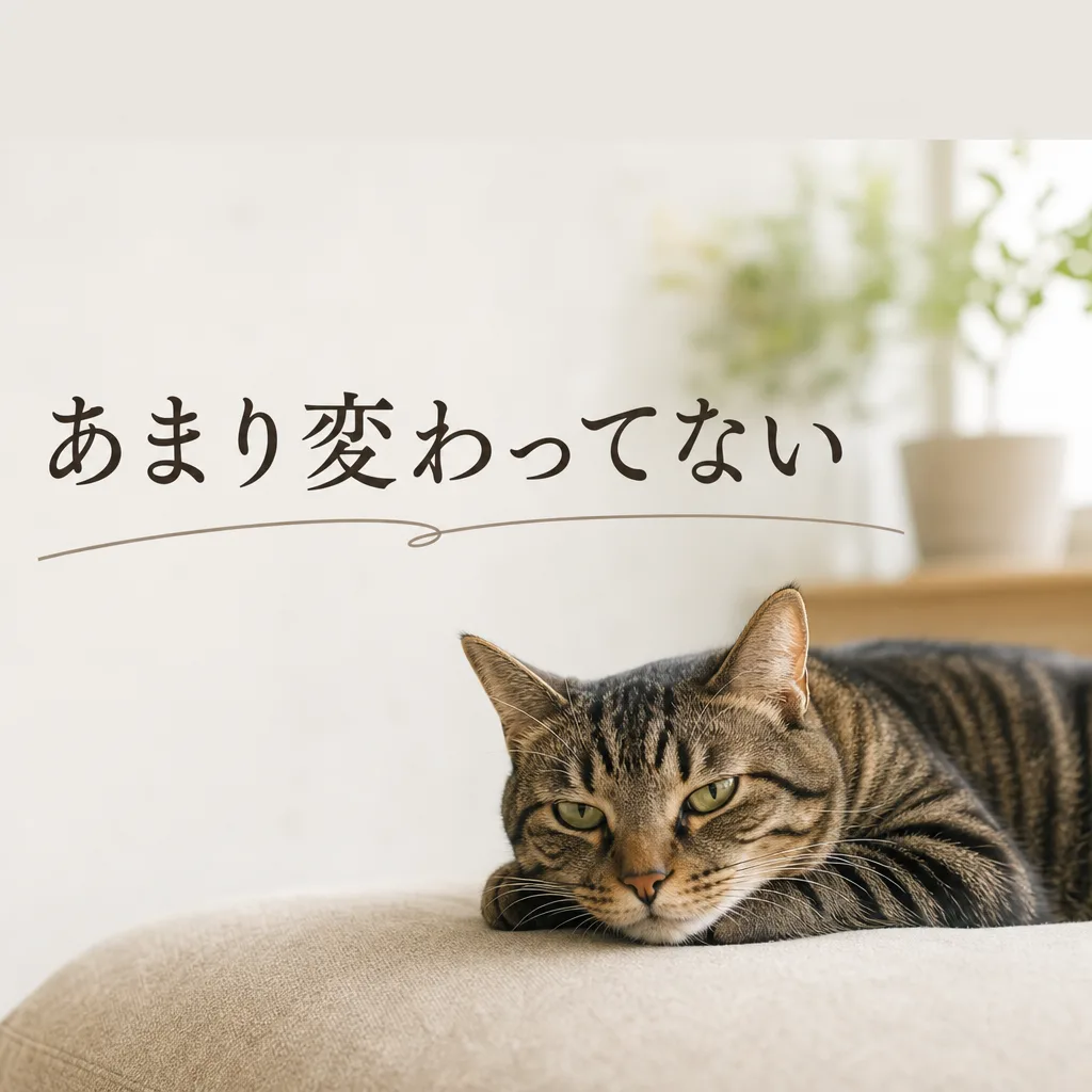 あまり変わってない