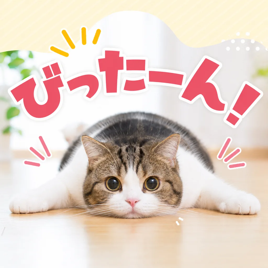びったーん！