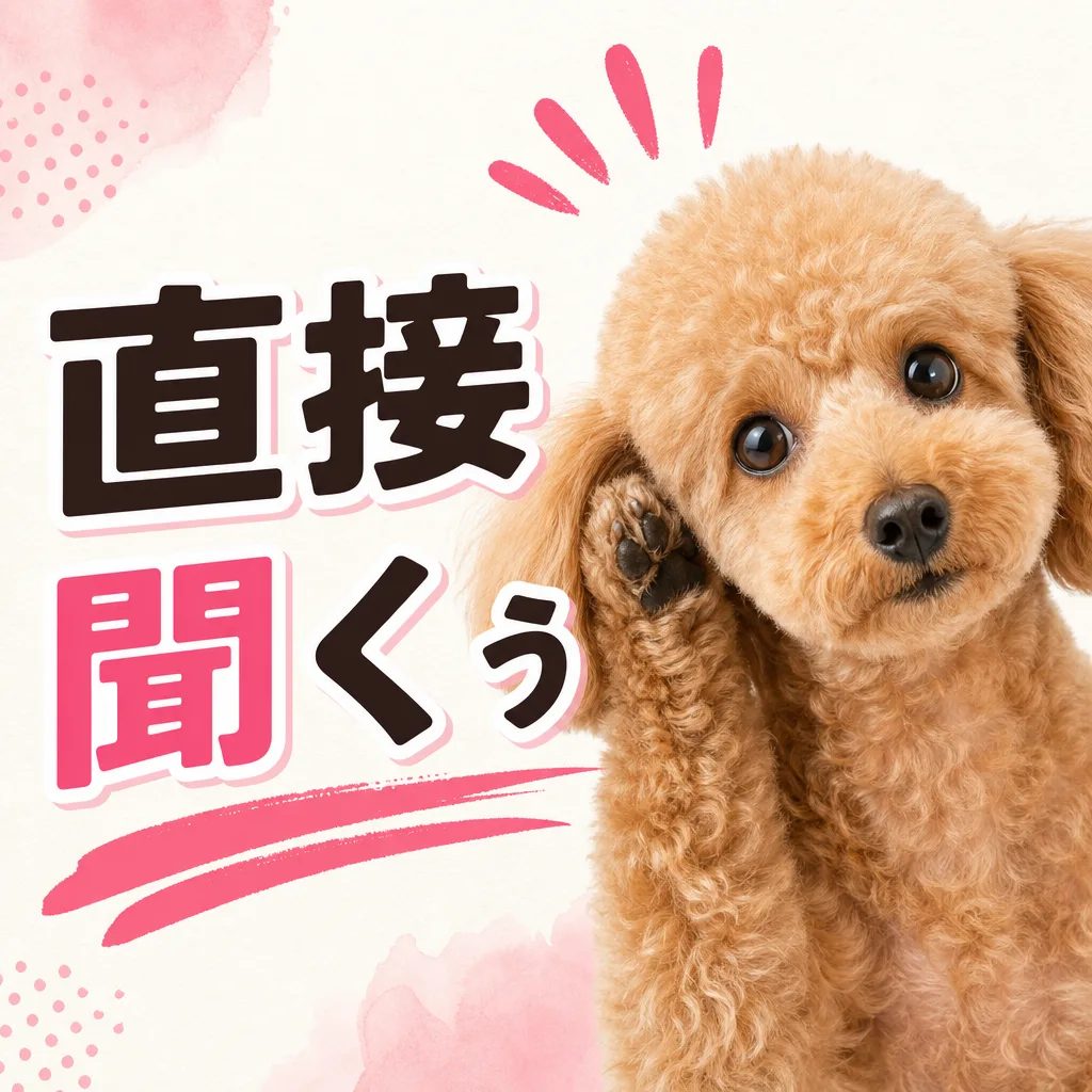 直接聞くぅ