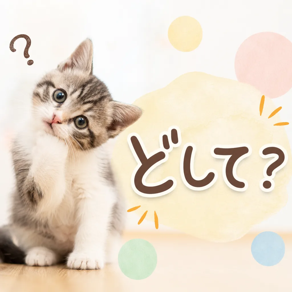 どして？