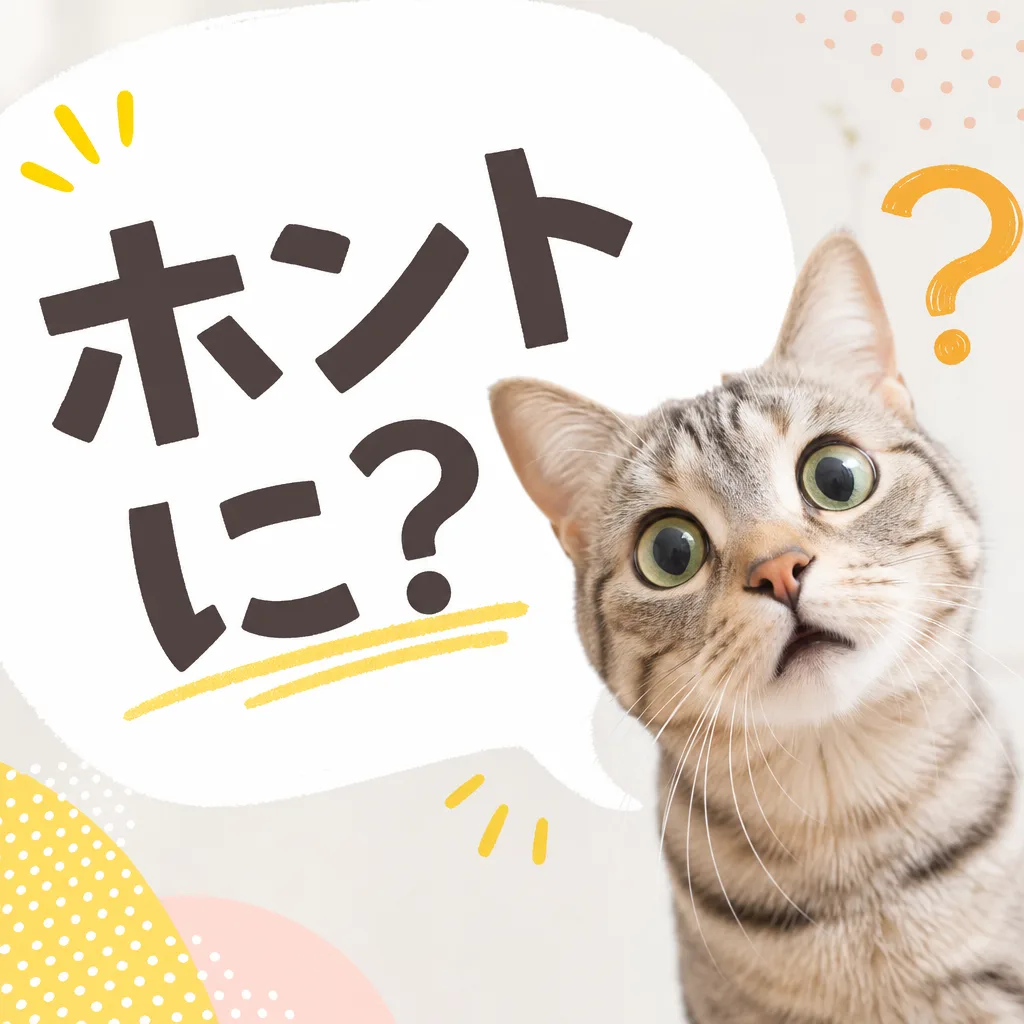 ホントに?