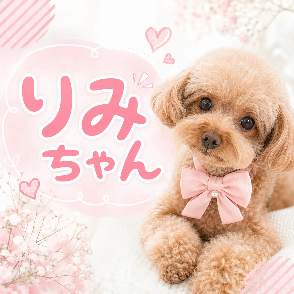 りみちゃん