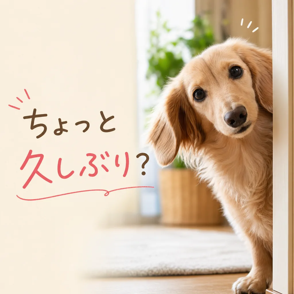 ちょっと久しぶり？