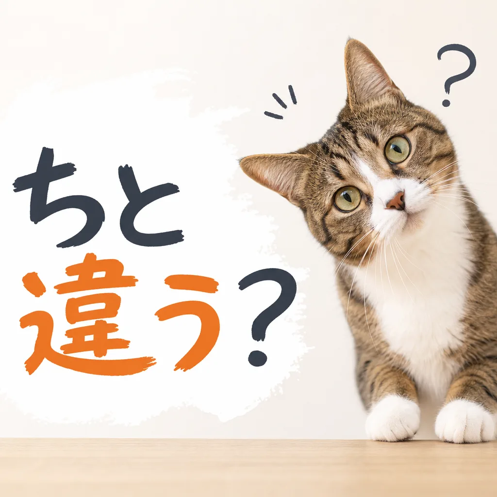 ちと違う？