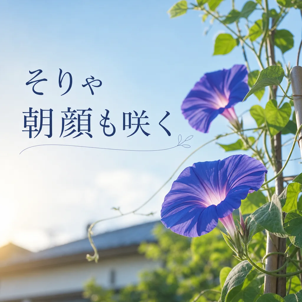 そりゃ朝顔も咲く