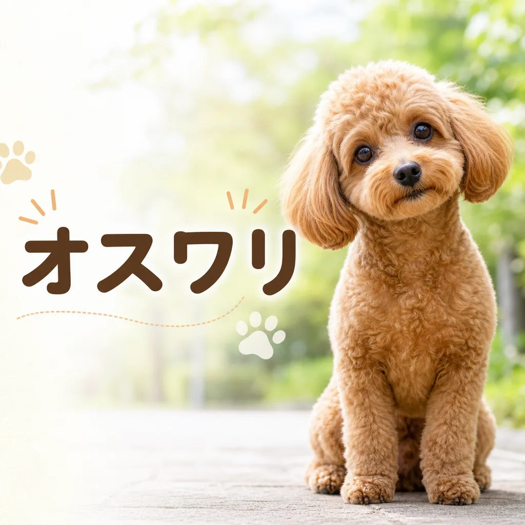 オスワリ
