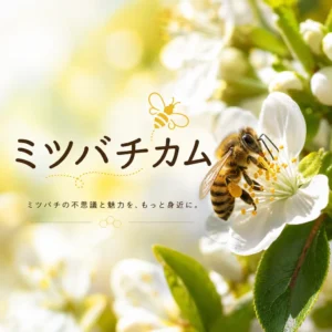 ミツバチカム